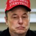 Elon Musk Wasn't Down With 'Silicon Valley' Party Scenes