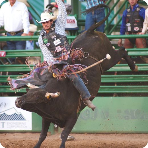 Entertainment this week: Truckee Pro Rodeo, Donner Summit Railroad History Tour and more!