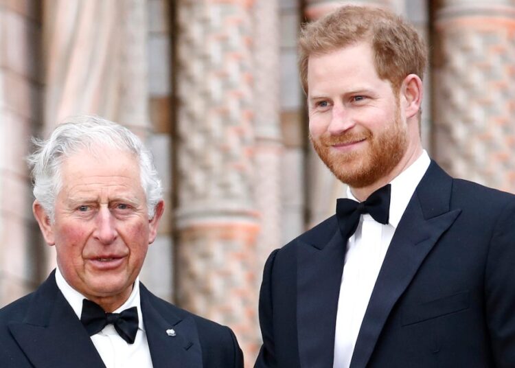 Expert Thinks King Charles and Prince Harry Reunion Is Unlikely