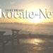 advocate-news default image