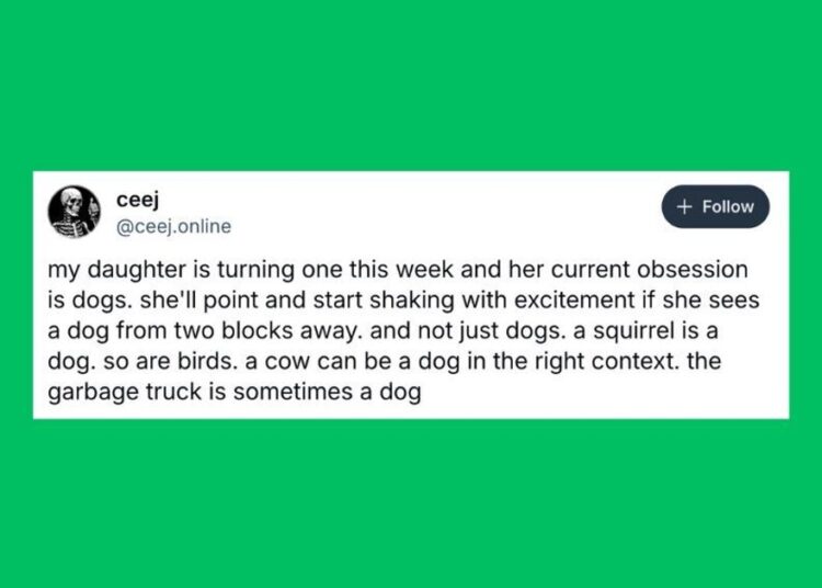 Funniest Posts About Cats And Dogs This Week