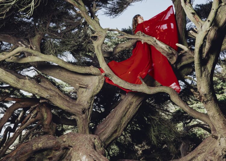 Hannah Frances: Nested in Tangles