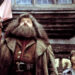 Warner Brothers/Courtesy Everett Robbie Coltrane and Daniel Radcliffe in 'Harry Potter and the Sorcerer's Stone'