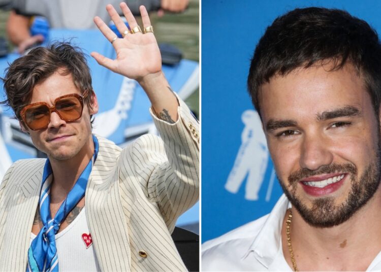 Harry Styles Still Grieving the Loss of Liam Payne, Isn’t ‘In the Space’ to Create Music Right Now – Star Magazine