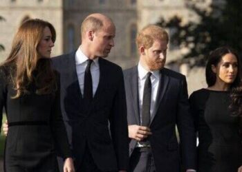 Harry and Meghan's Netflix deal will 'concern' royals for one reason - Celebrity News - Entertainment