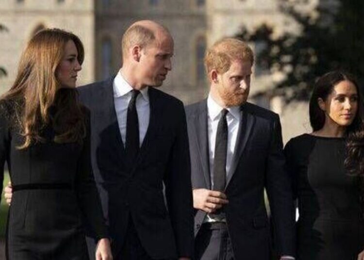 Harry and Meghan's Netflix deal will 'concern' royals for one reason - Celebrity News - Entertainment