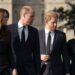 Harry and Meghan's Netflix deal will 'concern' royals for one reason - Celebrity News - Entertainment