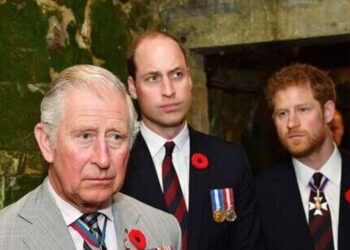 Harry dodged question surrounding William and Charles - Celebrity News - Entertainment
