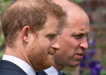 Harry warned one thing will never happen even if family 'patch things up' - Celebrity News - Entertainment