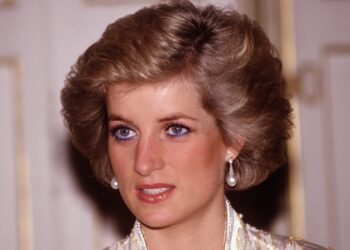 How Princess Diana Would Have Handled Prince William & Harry Rift