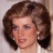How Princess Diana Would Have Handled Prince William & Harry Rift