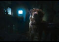 IFC Films’ Horror Pic Debuts Frightening First Look From Brave Pup’s Perspective