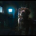 IFC Films’ Horror Pic Debuts Frightening First Look From Brave Pup’s Perspective