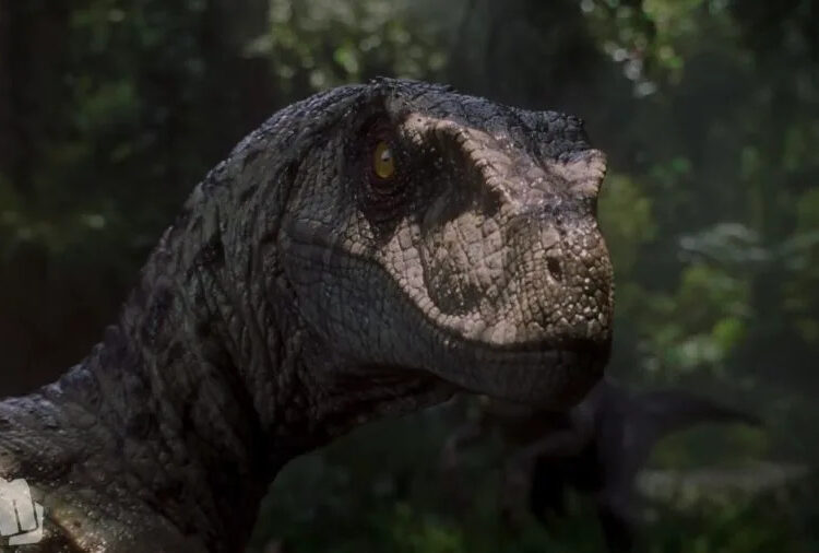 I’m Tired Of Defending A Good Jurassic Sequel