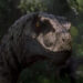 I’m Tired Of Defending A Good Jurassic Sequel