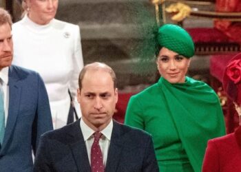 Inside Prince Harry’s Latest Peace Offering to His Royal Family