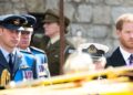 Insider shares Prince William’s true feelings toward Harry 'reunion' - Celebrity News - Entertainment