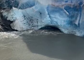 Jessica Meuse takes music and dog to Juneau, Alaska for Coast Guard
