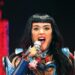 Katy Perry Stops Concert After Fan Collapses Onstage