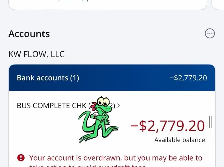 Kelley Wolf Posts Overdrawn Bank Account Amid Claims About Finances