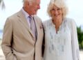 King Charles and Queen Camilla's Journey to Happily Ever After