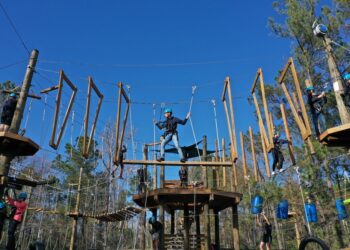 someone walking a tree rope bridge course