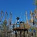 someone walking a tree rope bridge course
