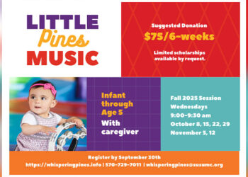 Little Pines Music Music Program | Beach Lake, PA