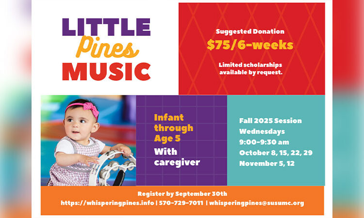 Little Pines Music Music Program | Beach Lake, PA