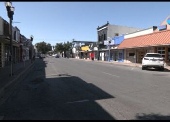 McAllen mayor announces 33 citations issued to establishments in Entertainment District