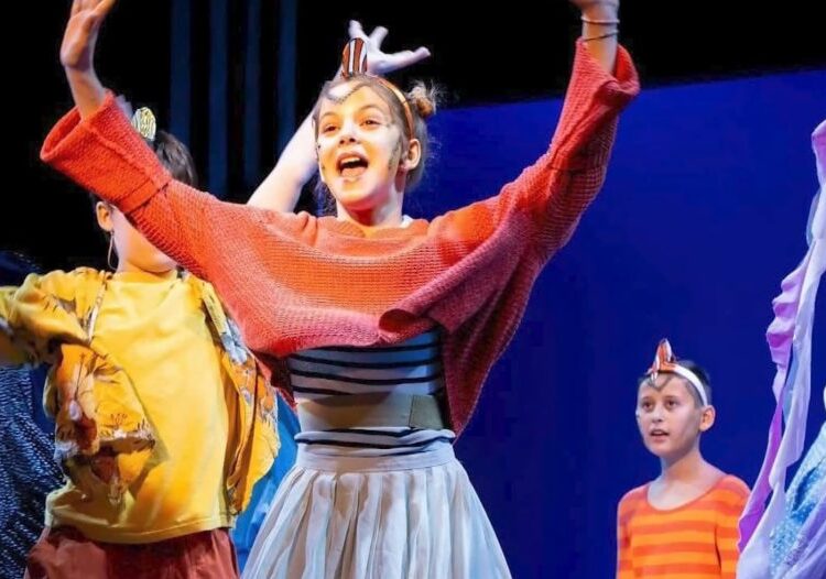 New Hampshire arts groups face double budget blow as state slashes funding