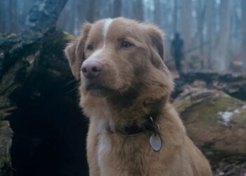 IFC/Shudder Indy in