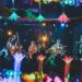New Music Festival Creates Tropical Dreamscape