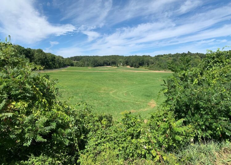 New Music Venue Planned in Town of Saratoga, Locals Push Back