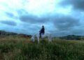 Woman in the distance on a white horse.