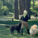 Pamela Anderson's Garden at Her Canada Home Photos of Her Oasis