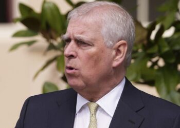 Prince Andrew 'annoyed' at lack of royal status, author claims | Royal | News
