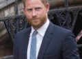 Prince Harry Denies Punching Prince Andrew