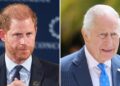 Prince Harry and King Charles Might Have a Meeting Next Month