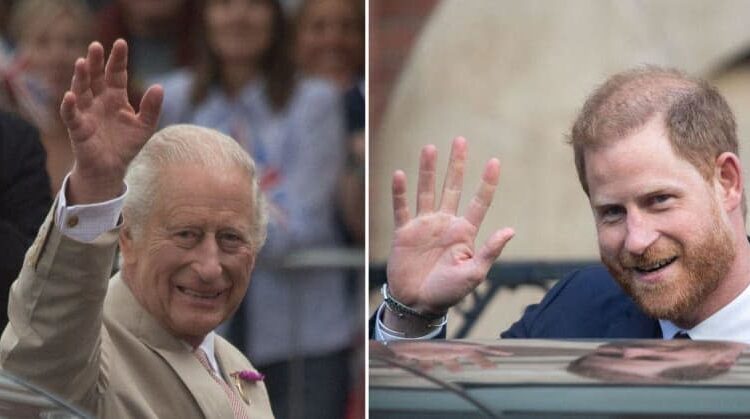 Prince Harry and King Charles' 'reconciliation' is 'in reach,' according to a source. MEGA