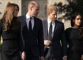Prince Harry and Meghan Markle's Netflix deal will 'concern' royals | Royal | News