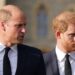 Harry will return to the UK in September, but a royal expert says his fractured bond with William shows no sign of healing despite hopes of seeing King Charles.(AFP)