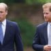 Prince Harry 'desperate' to end his feud with William - Celebrity News - Entertainment