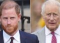 Prince Harry told 'stop being a victim' before royal reunion - Celebrity News - Entertainment