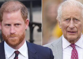 Prince Harry told 'stop being a victim' before royal reunion - Celebrity News - Entertainment