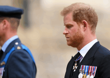 Prince Harry’s Curt Response to Claims William Will ‘Exile’ Him
