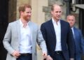Prince William & Harry May Reunite For This Upcoming Royal Event