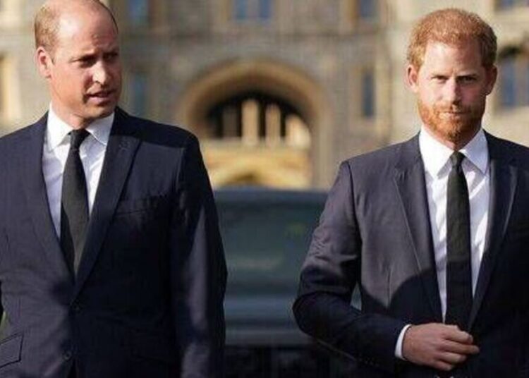Prince William 'refuses to meet' Prince Harry during UK trip - Celebrity News - Entertainment
