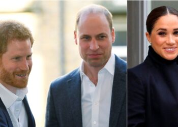 Prince William’s mistrust of Meghan is blocking peace with Harry, expert says.