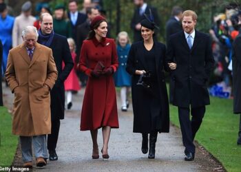 HAPPIER TIMES: Members of the Royal Family before the rift was exposed (pictured L-R: King Charles; Prince William; Kate Middleton; Meghan Markle; Prince Harry)